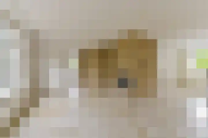 Rietspinner 6 Leusden thumbnail 5