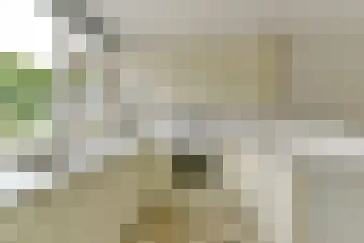 Rietspinner 6 Leusden thumbnail 8