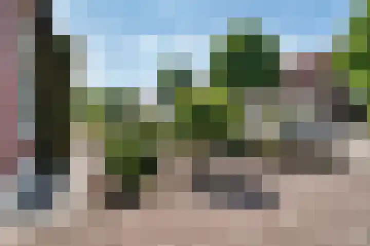 Rietstraat 10 Schijndel thumbnail 34