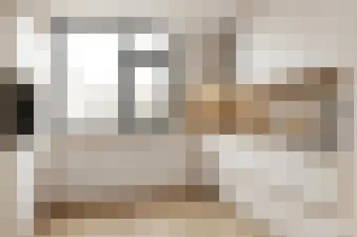 Rietstraat 102 Almelo thumbnail 13
