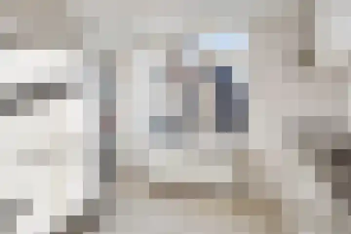 Rietstraat 102 Almelo thumbnail 15