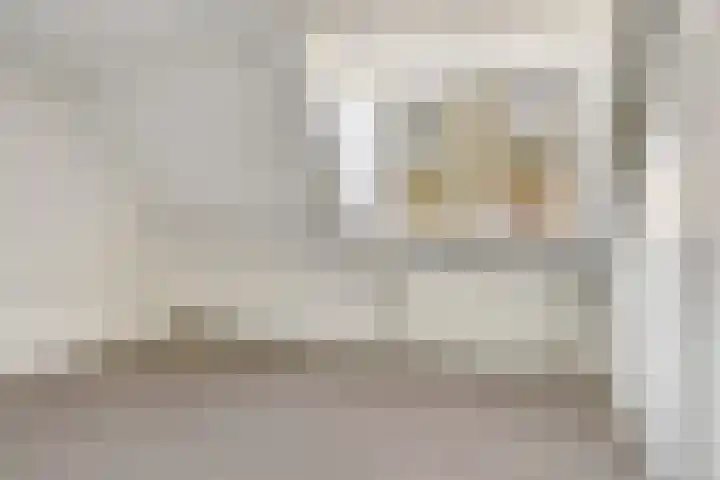 Rietstraat 102 Almelo thumbnail 20