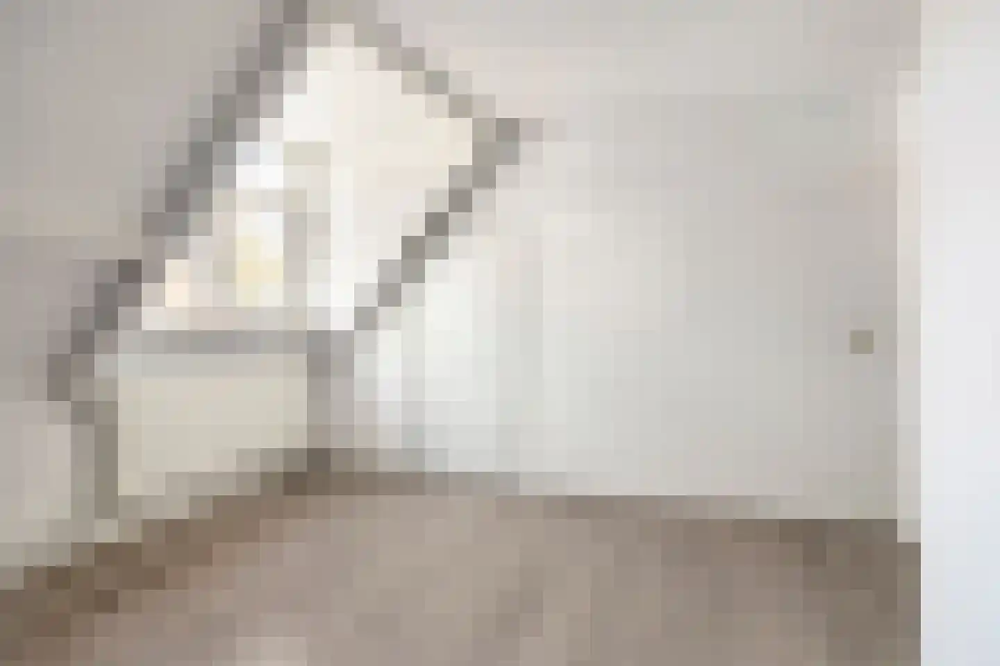 Rietstraat 102 Almelo thumbnail 21