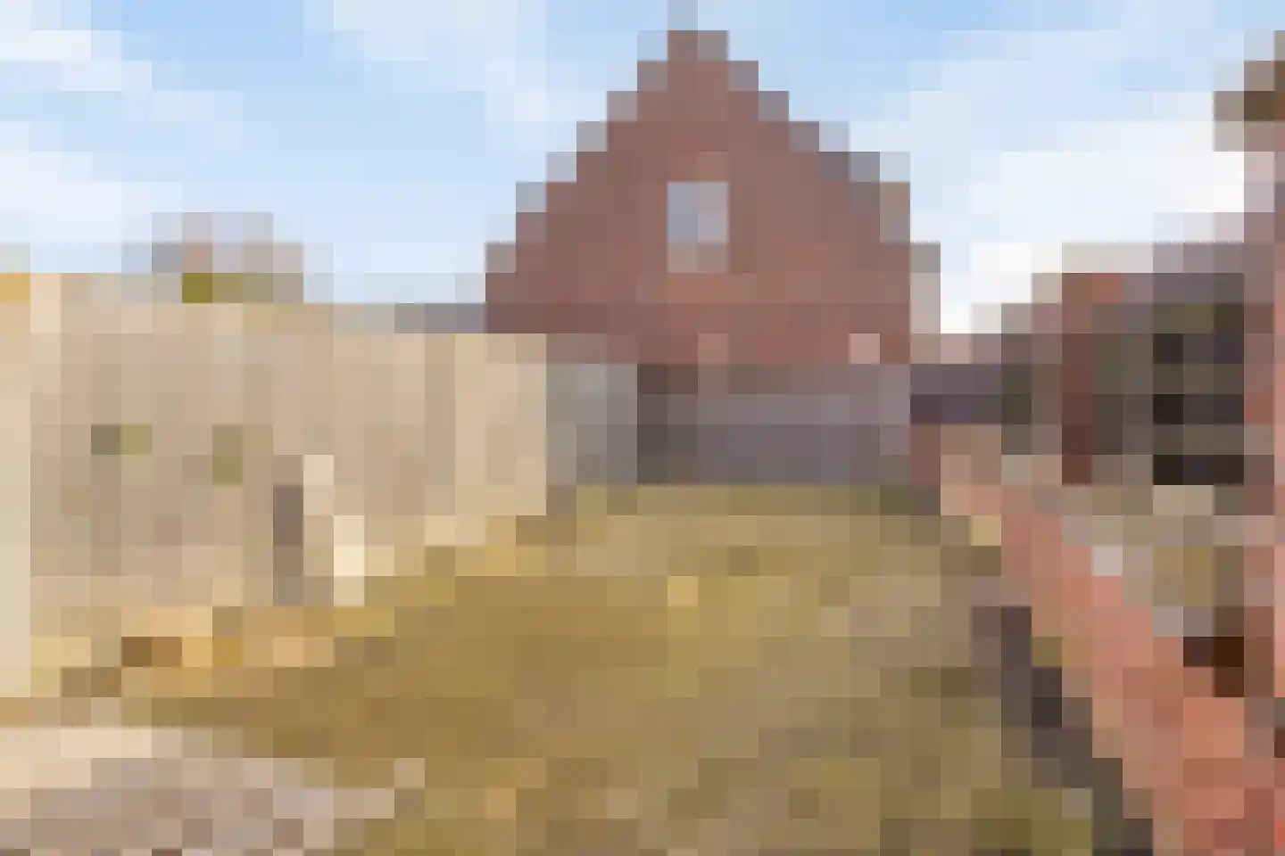 Rietstraat 102 Almelo thumbnail 26
