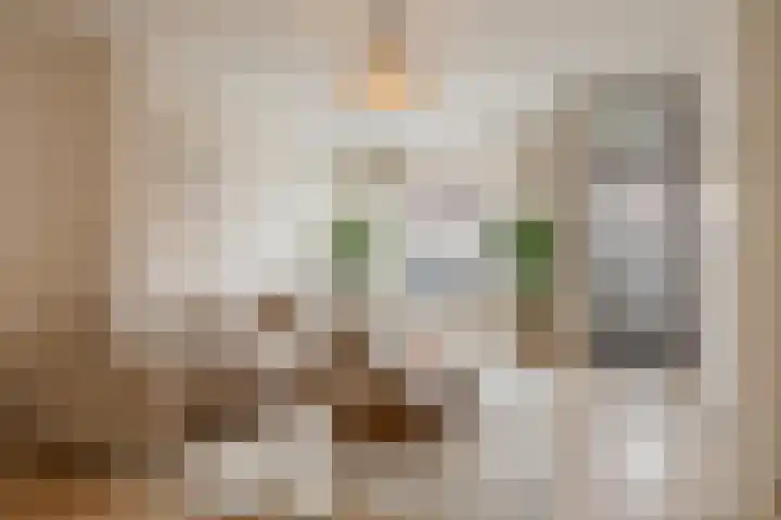 Rietstraat 102 Almelo thumbnail 9