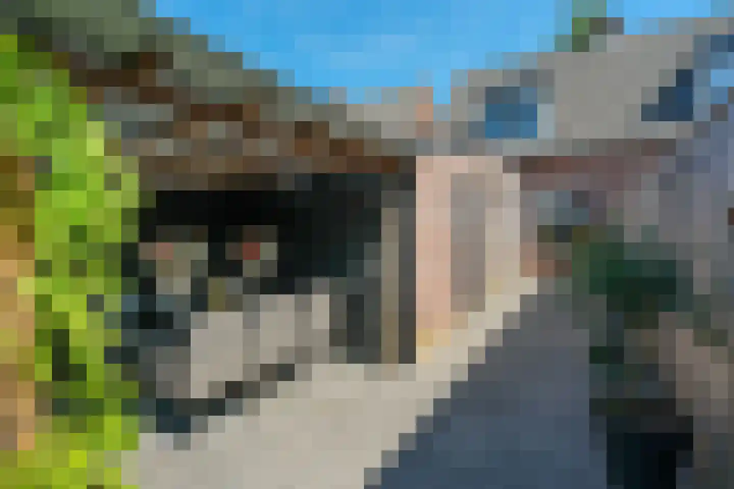 Rietstraat 109 Almelo thumbnail 4