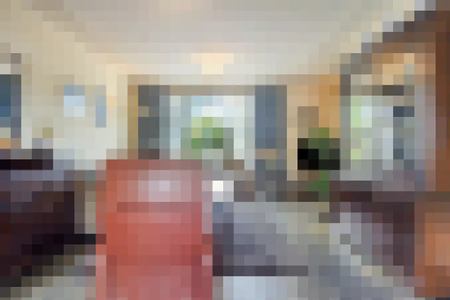 Rietstraat 11 Schijndel thumbnail 10