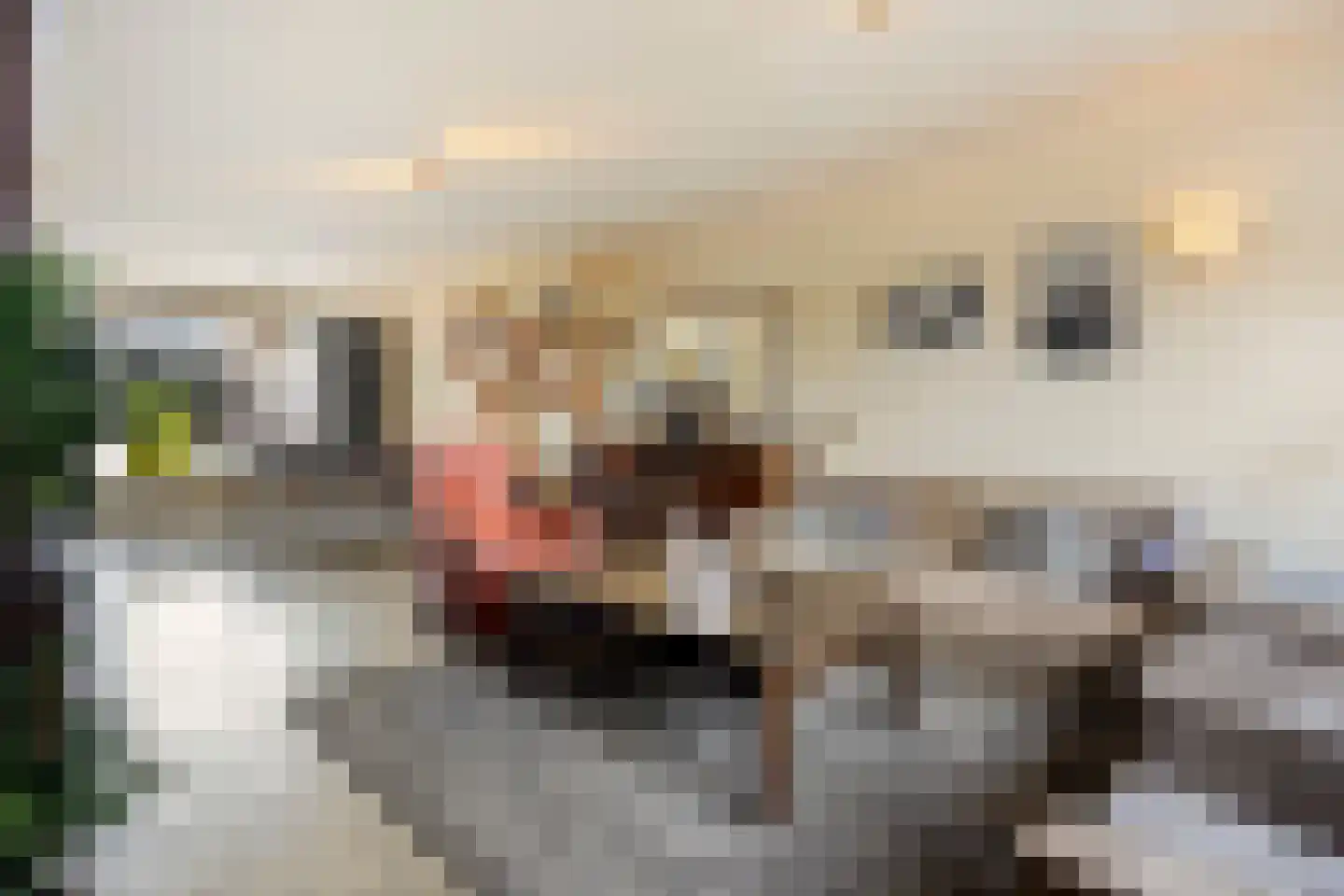 Rietstraat 11 Schijndel thumbnail 11