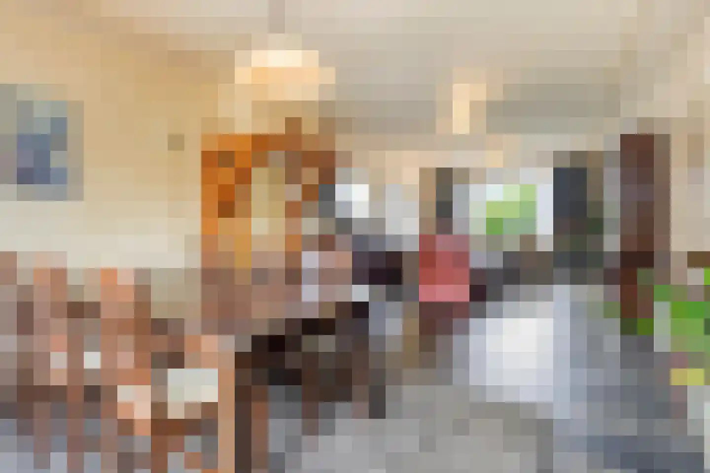 Rietstraat 11 Schijndel thumbnail 16
