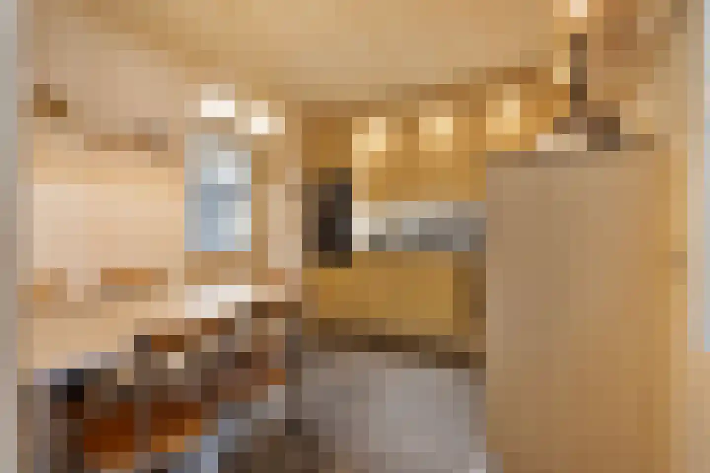Rietstraat 11 Schijndel thumbnail 17