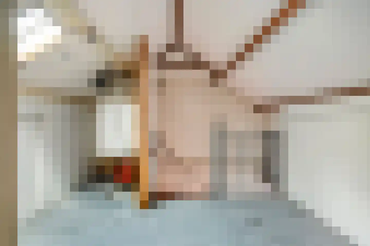 Rietstraat 11 Schijndel thumbnail 35