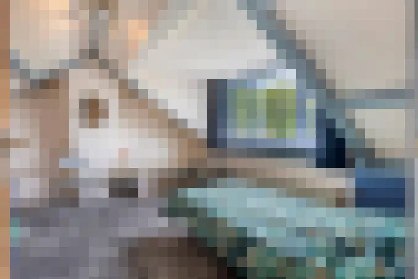 Rietstraat 11 Schijndel thumbnail 37