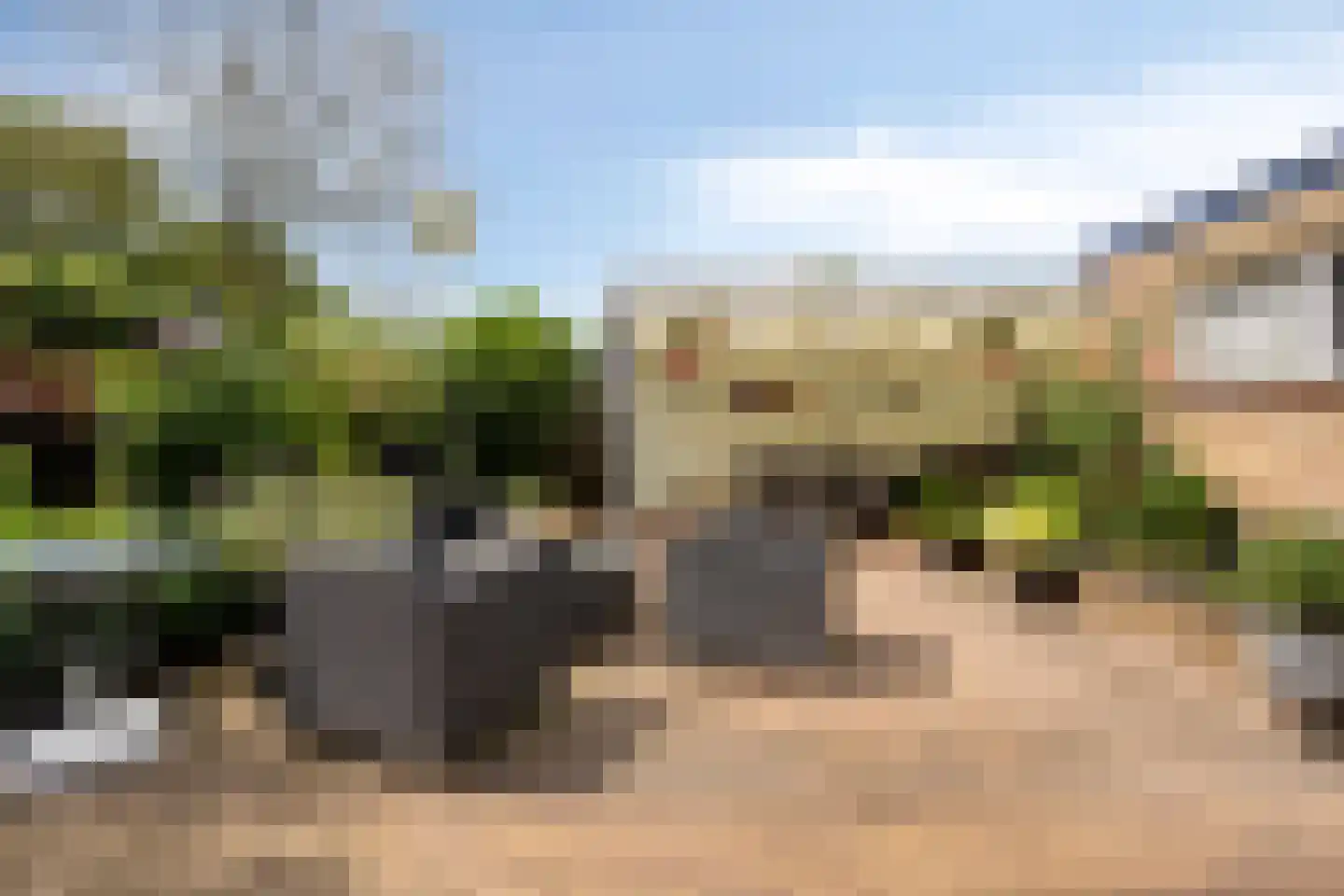 Rietstraat 11 Schijndel thumbnail 41