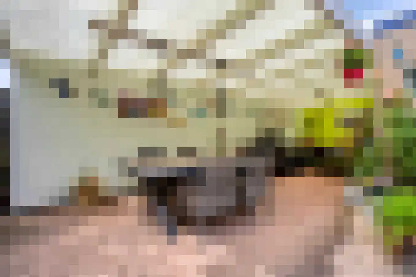 Rietstraat 11 Schijndel thumbnail 43