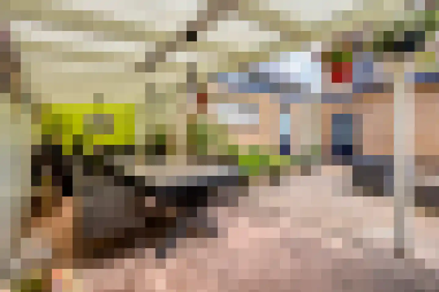 Rietstraat 11 Schijndel thumbnail 44