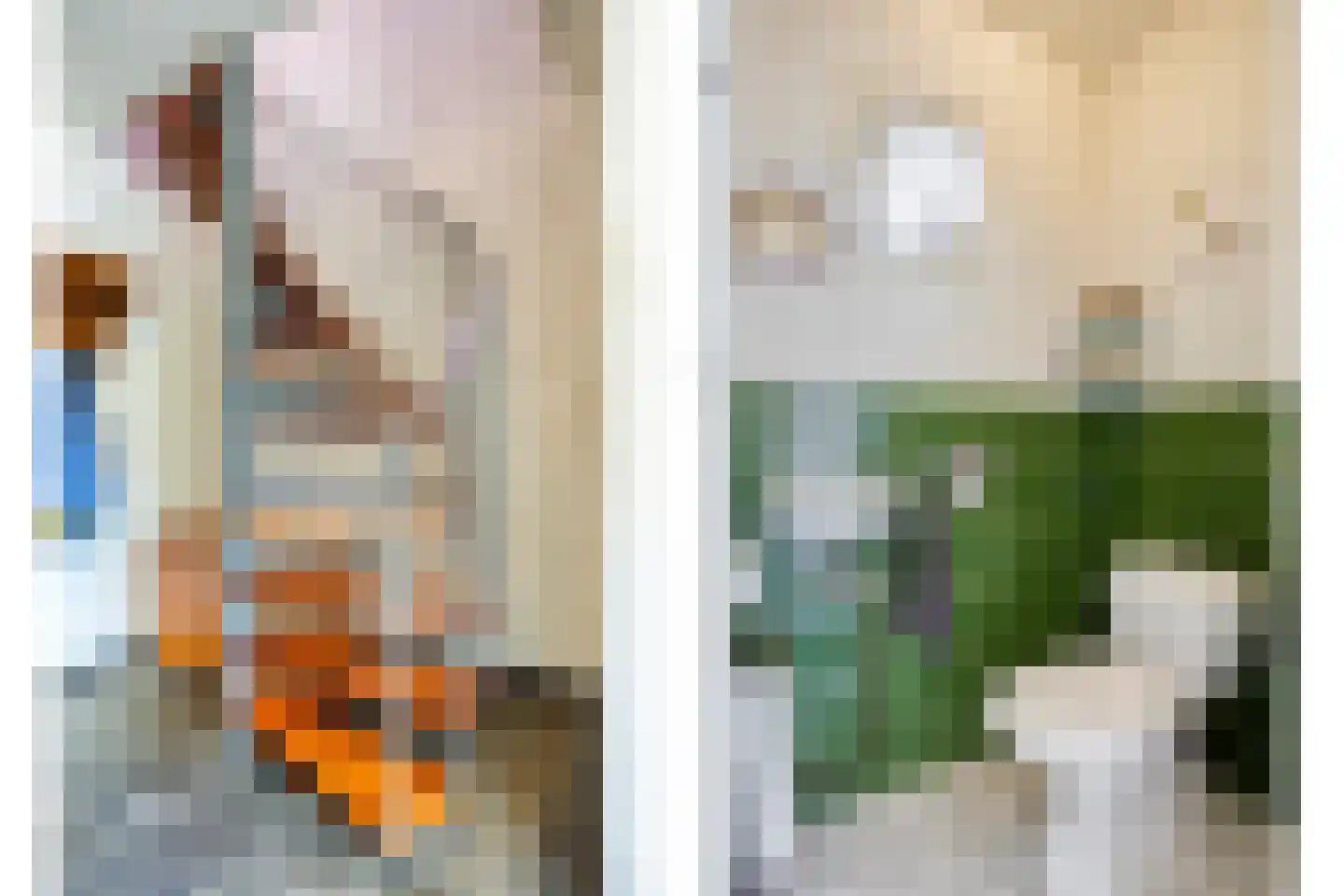 Rietstraat 11 Schijndel thumbnail 8