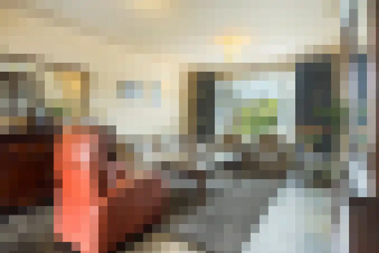 Rietstraat 11 Schijndel thumbnail 9