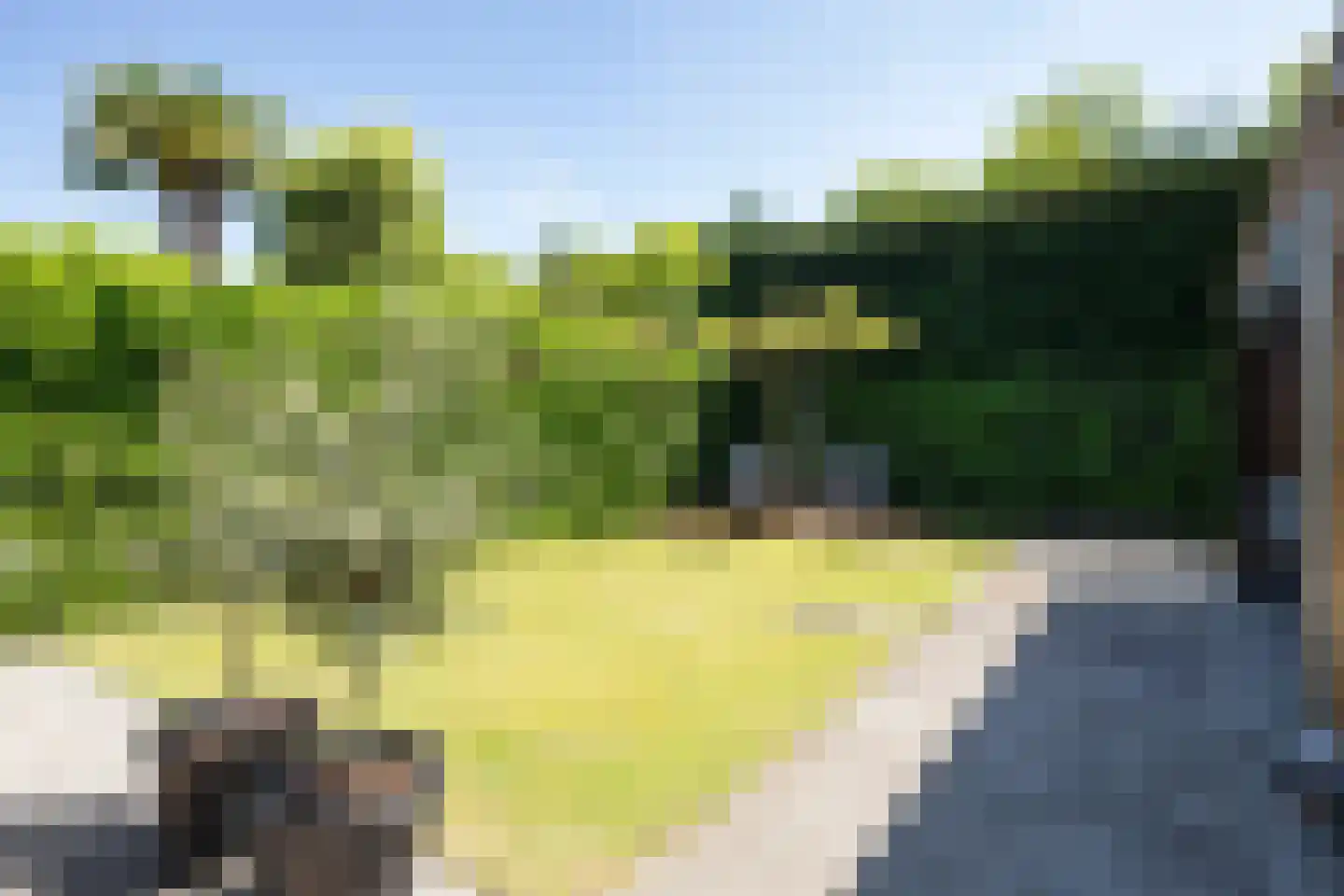 Rietstraat 15 Oisterwijk thumbnail 5