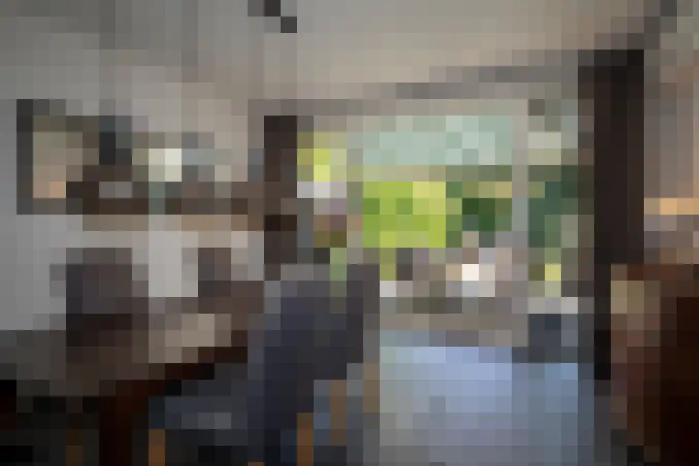 Rietstraat 15 Oisterwijk thumbnail 6