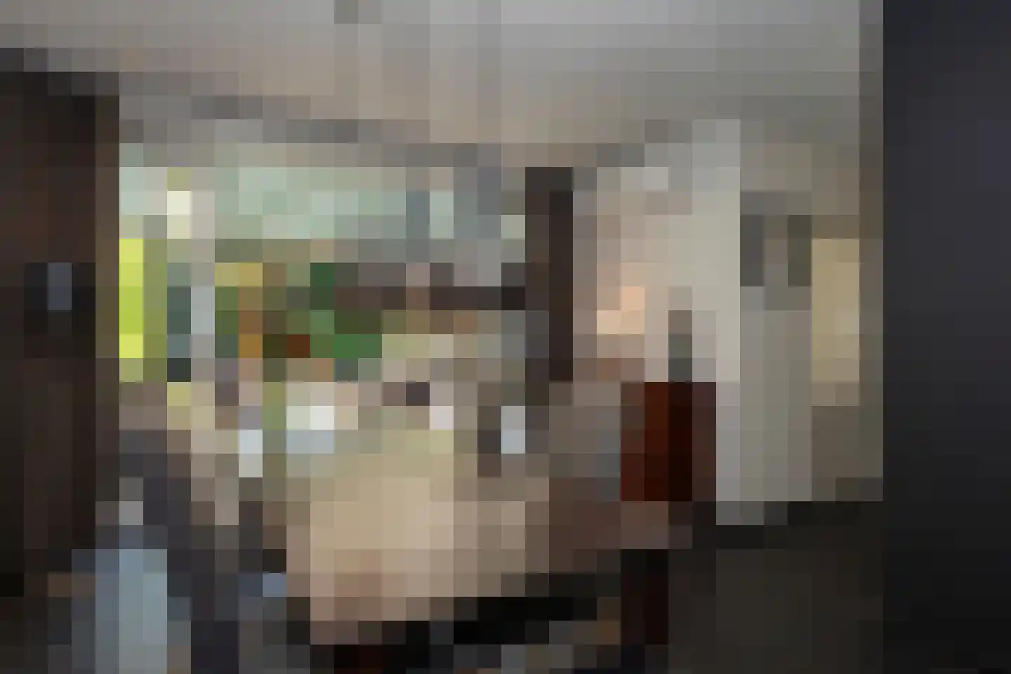 Rietstraat 15 Oisterwijk thumbnail 7
