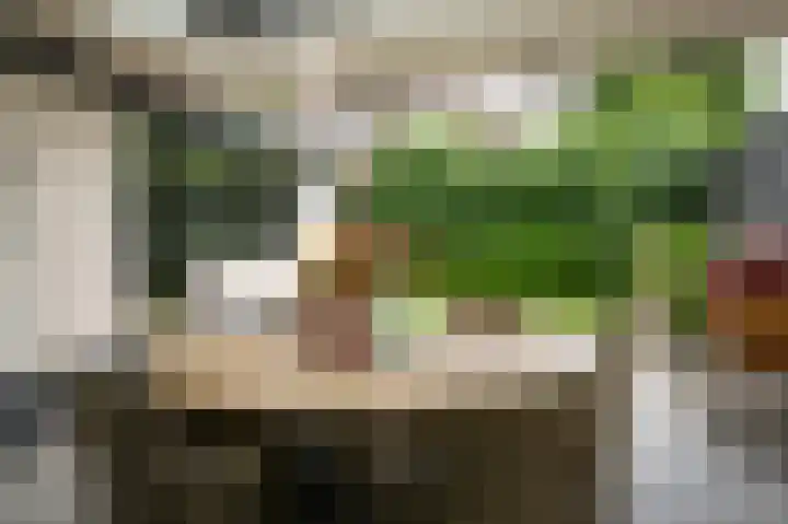 Rietstraat 20 Schijndel thumbnail 17