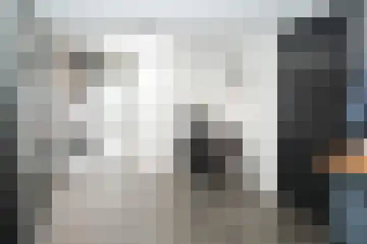 Rietstraat 20 Schijndel thumbnail 18