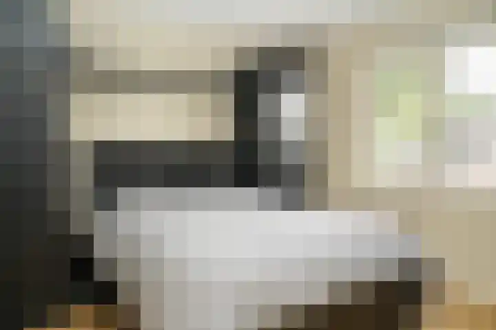Rietstraat 20 Schijndel thumbnail 21