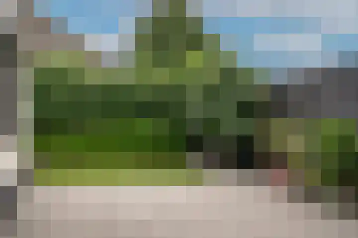 Rietstraat 20 Schijndel thumbnail 34