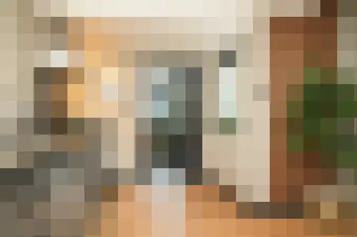 Rietstraat 20 Schijndel thumbnail 8