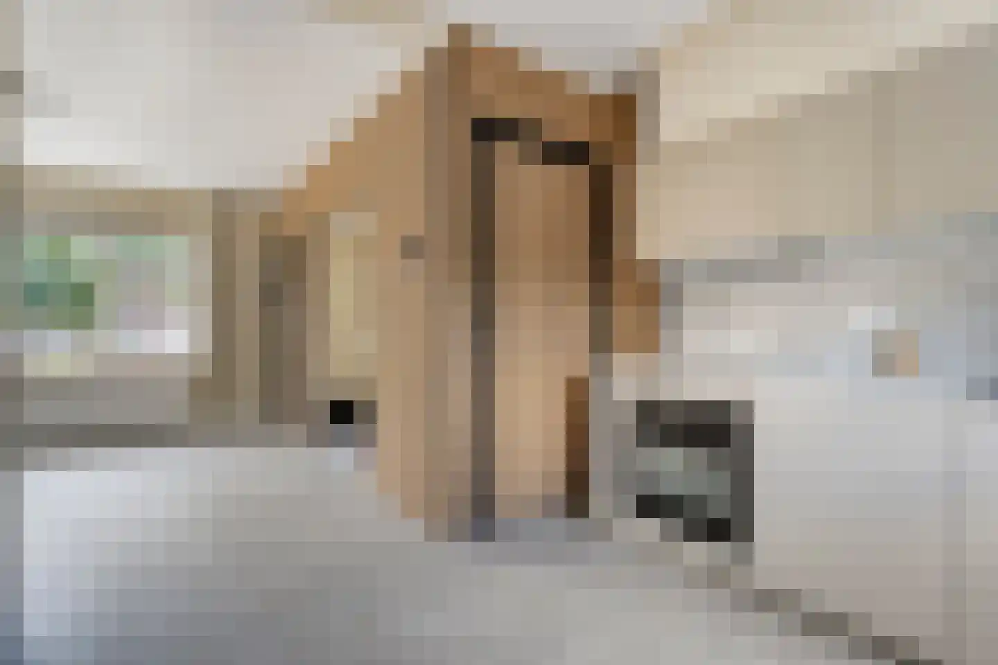 Rietstraat 203 Almelo thumbnail 12