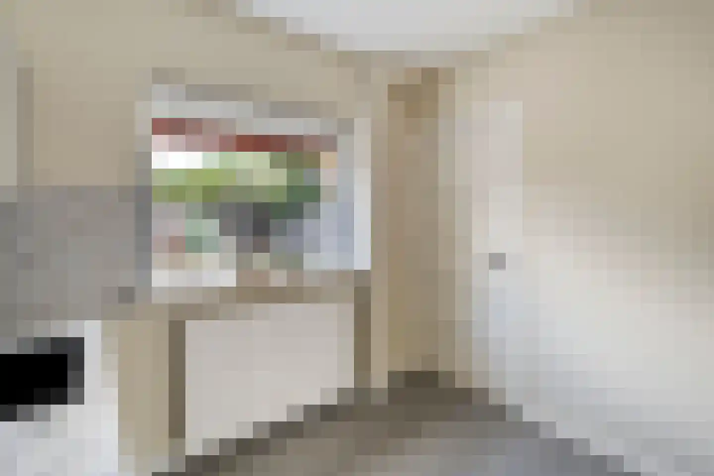 Rietstraat 203 Almelo thumbnail 15