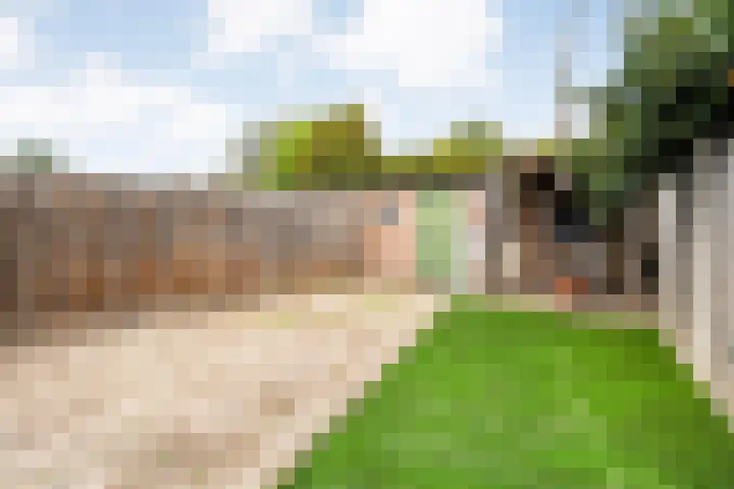 Rietstraat 203 Almelo thumbnail 29