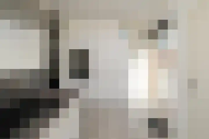 Rietstraat 250 Almelo thumbnail 8