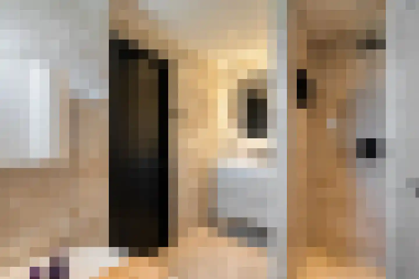 Rietstraat 277 Almelo thumbnail 18
