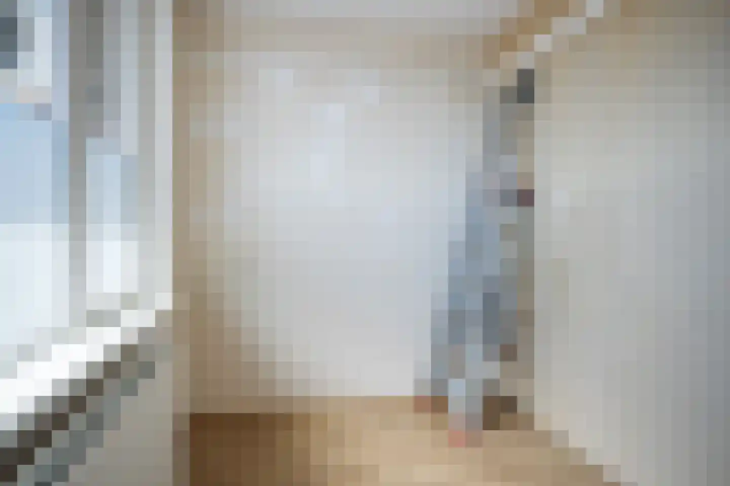 Rietstraat 288 Almelo thumbnail 20