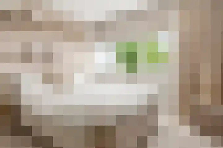 Rietstraat 3 Ederveen thumbnail 19