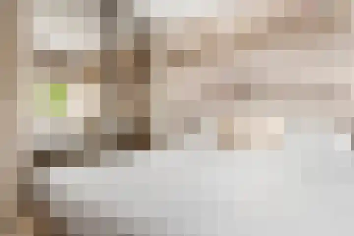 Rietstraat 3 Ederveen thumbnail 20