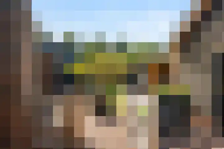 Rietstraat 3 Ederveen thumbnail 31