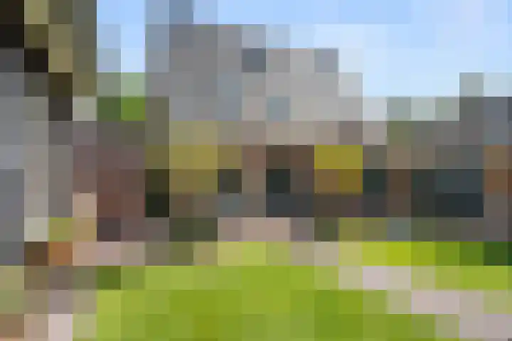 Rietstraat 3 Ederveen thumbnail 32