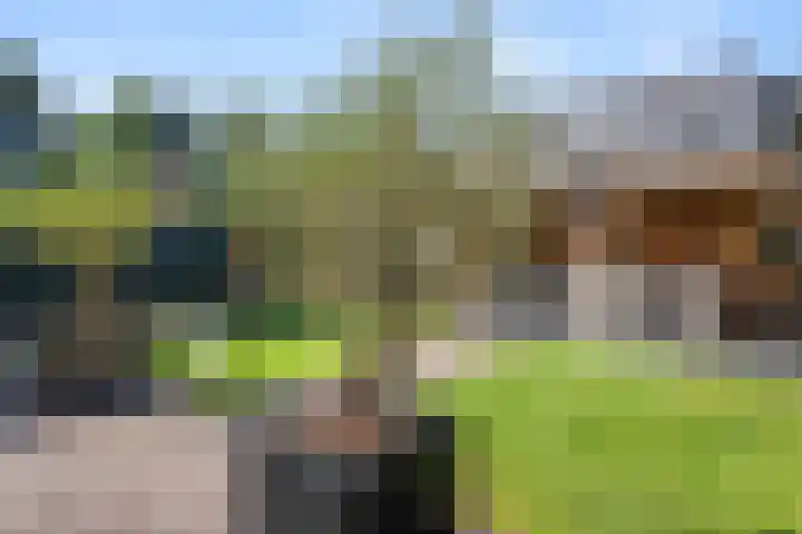 Rietstraat 3 Ederveen thumbnail 34