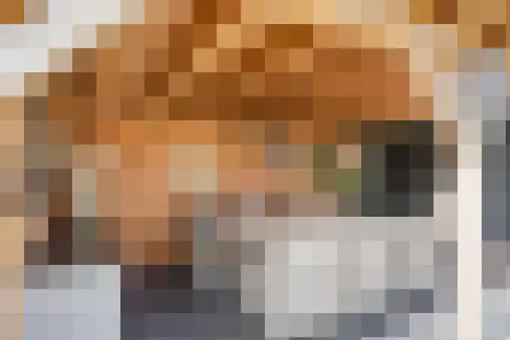 Rietstraat 3 Ederveen thumbnail 35