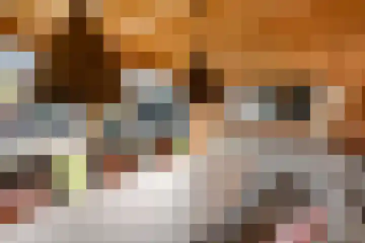 Rietstraat 3 Ederveen thumbnail 36