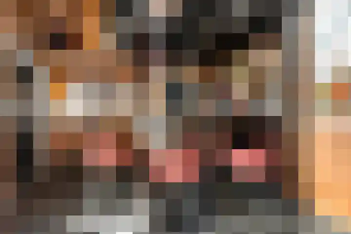 Rietstraat 3 Ederveen thumbnail 37