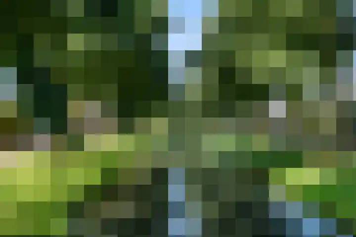 Rietstraat 3 Ederveen thumbnail 44