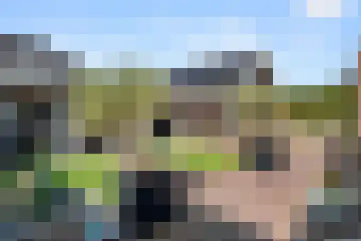 Rietstraat 3 Ederveen thumbnail 5