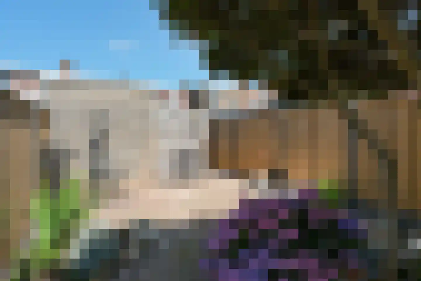 Rietstraat 300 Almelo thumbnail 15