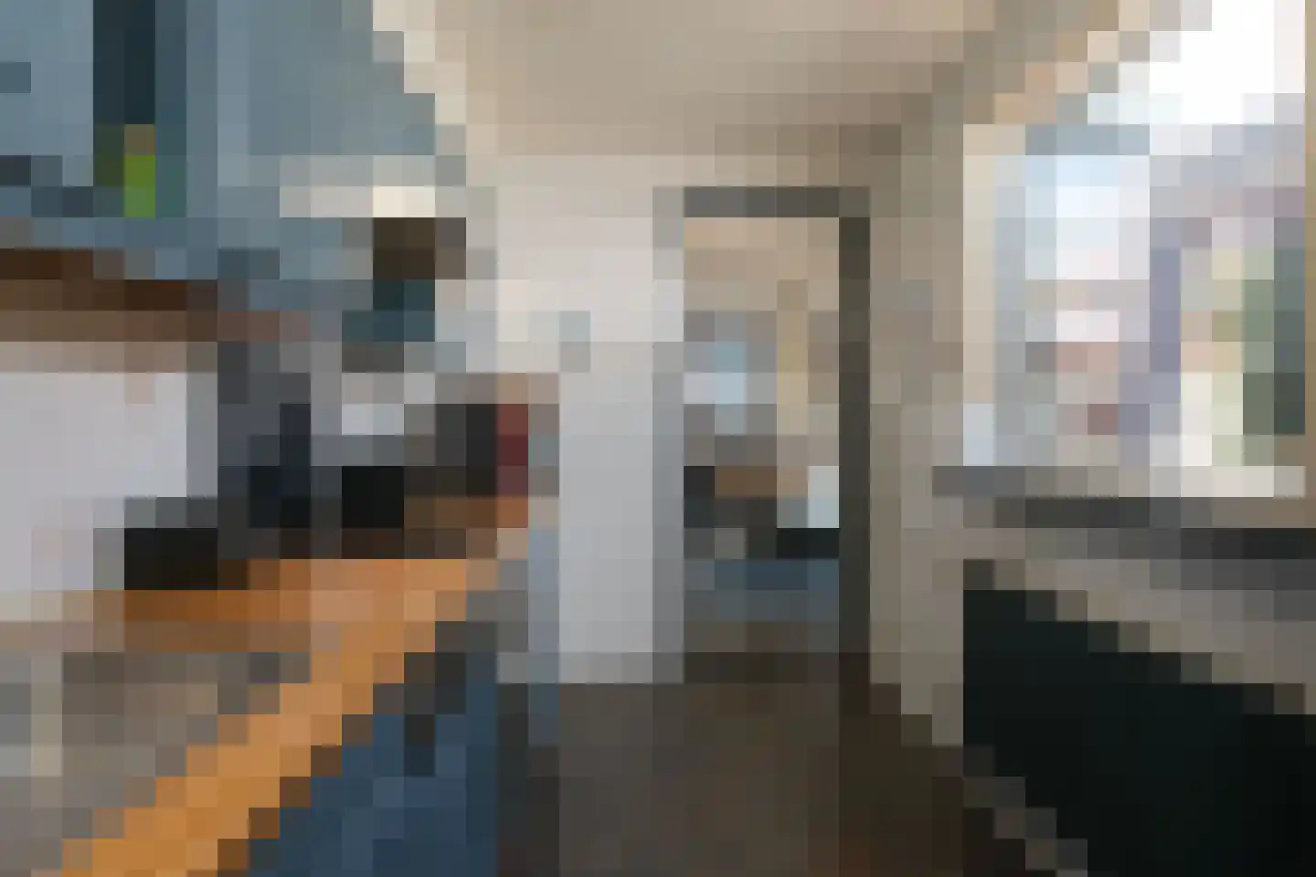 Rietstraat 300 Almelo thumbnail 7