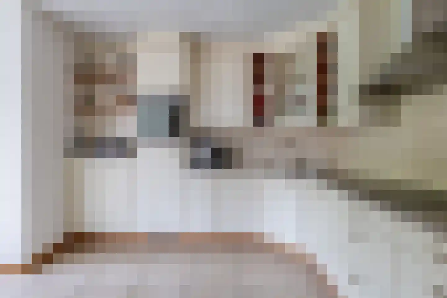 Rietstraat 32 Schijndel thumbnail 10
