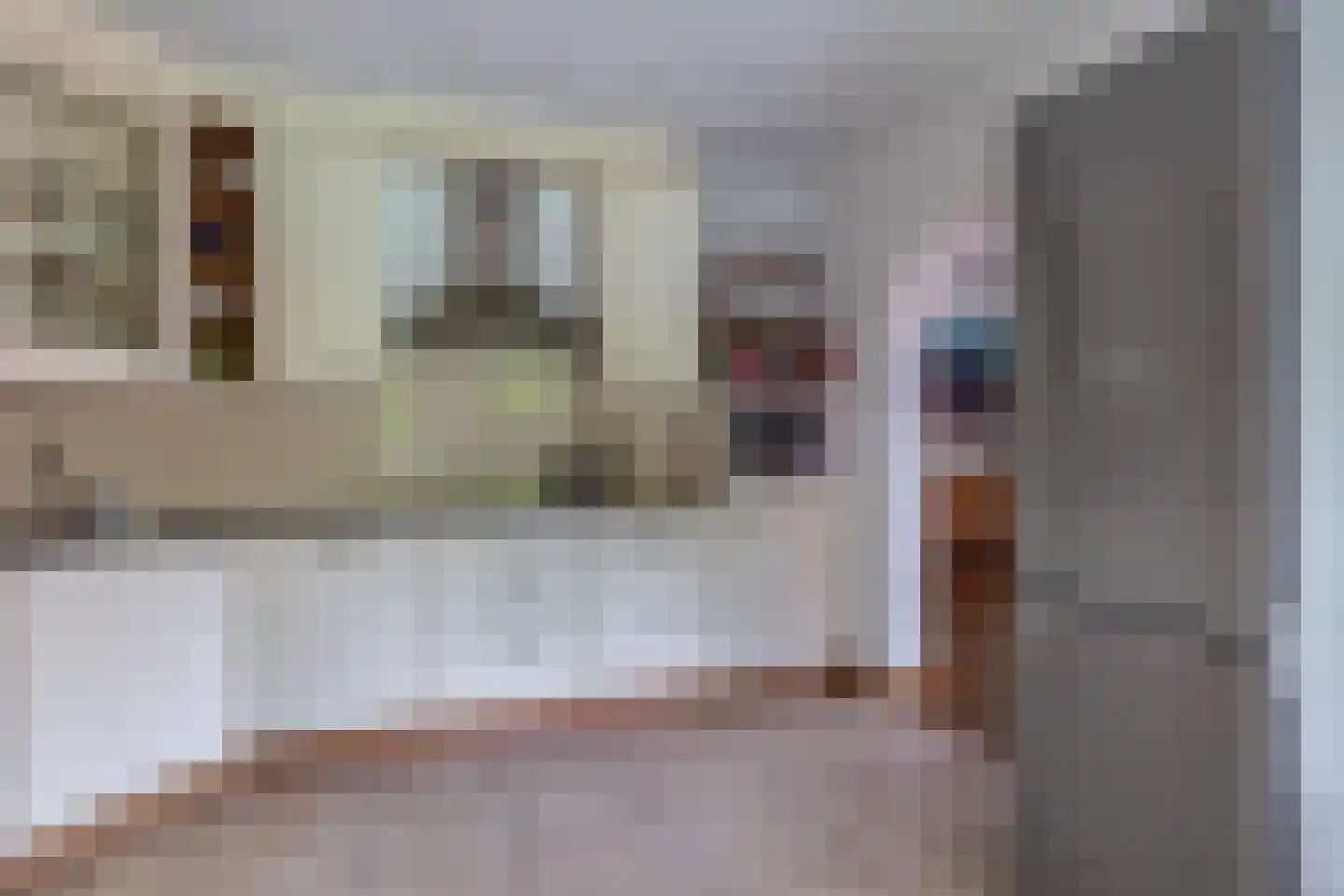 Rietstraat 32 Schijndel thumbnail 11