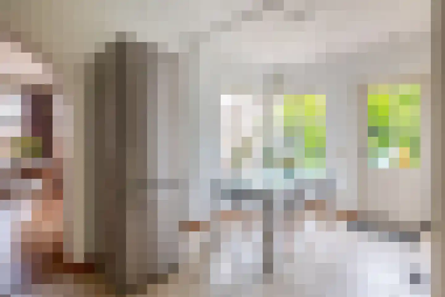 Rietstraat 32 Schijndel thumbnail 12